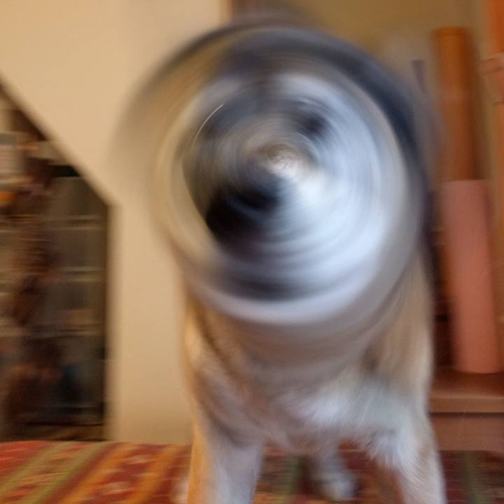 8a931986 95ab 4945 af7c 6a198dfcd6be 1525912189098