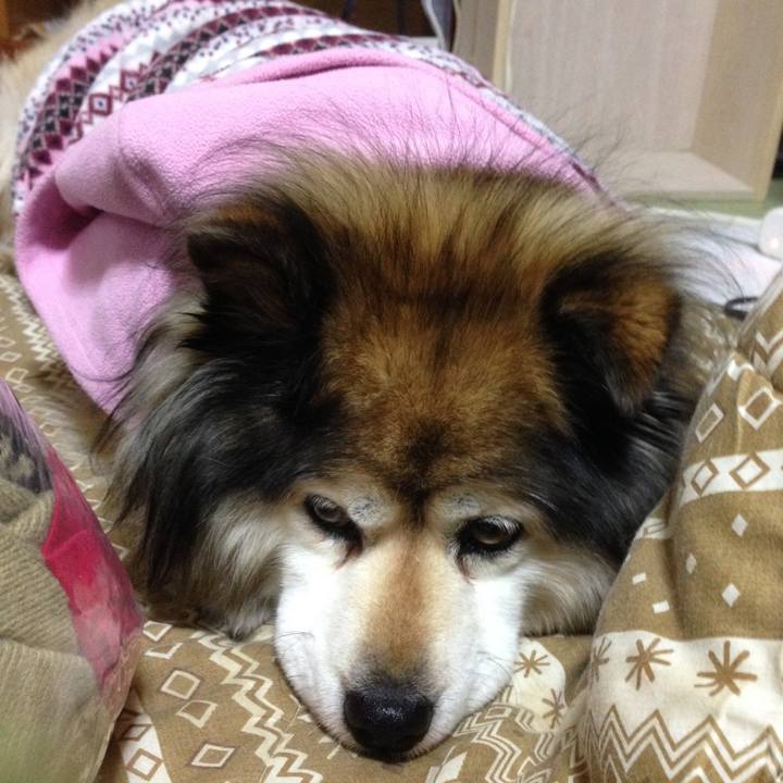 8a932d9f 7860 4084 8a79 23ca4f636d93 1618837792275