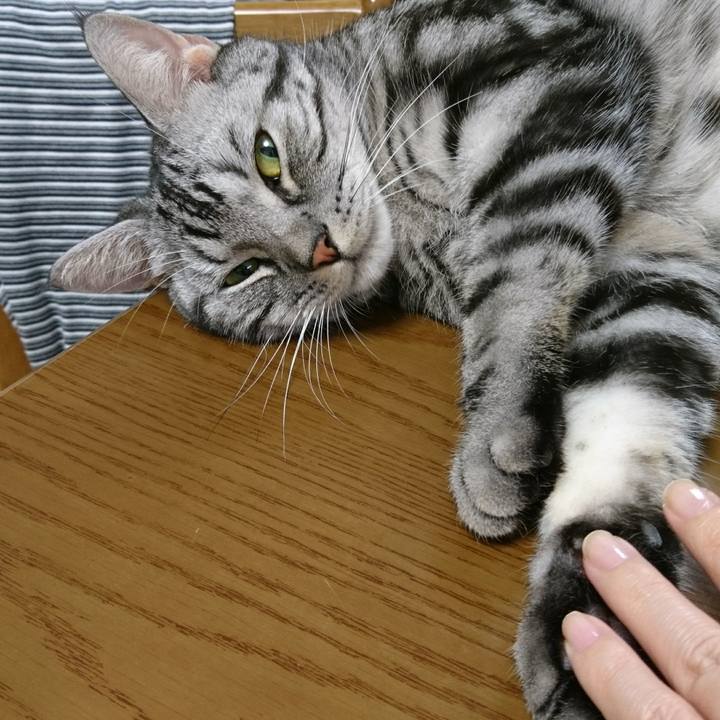 8a935668 97c8 47a8 b5c4 8628431aeb49 1509960835059