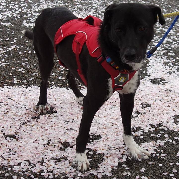 8a93597c 5fea 4a73 988a 63e766277950 1585530199519