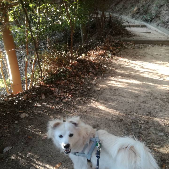 8a9365cd 7a59 4eb4 89be facd2965ddef 1513843460145