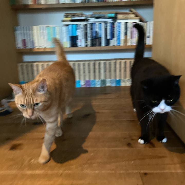 8a93672c ca99 4f2b adc7 c49f21f55146 1625180700276