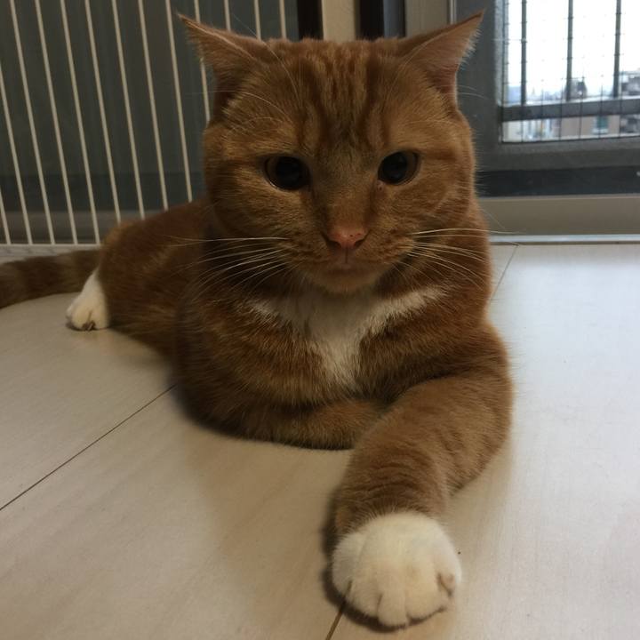 8a937a28 707c 4c15 8080 7cd725bce793 1543789794307