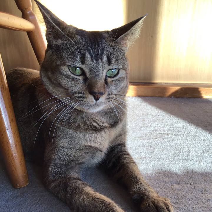 8a9394ce c060 43d8 8eb9 cc79261e2523 1606547621765