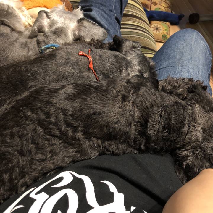 8a93af68 2eed 4986 97aa 6fc6746f993f 1529935195739