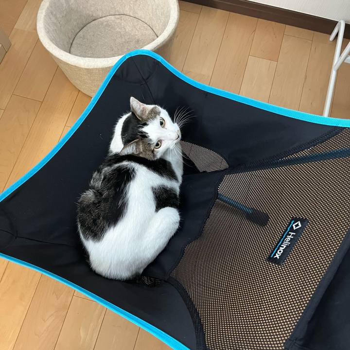 8a93ed2d 2a9d 49e2 89a1 9f94fd404ad9 1724236910197