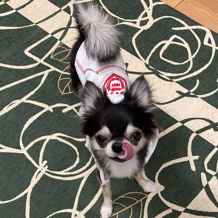 8a942015 99aa 465f bf56 5c9adf5f7495 1639918009901