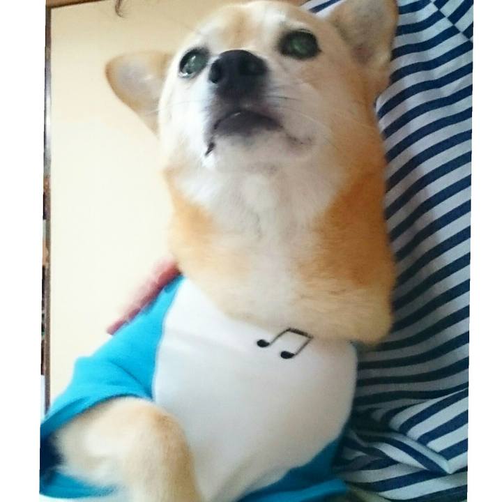 8a944426 caac 47cd b587 ceda66b1d190 1563611584733