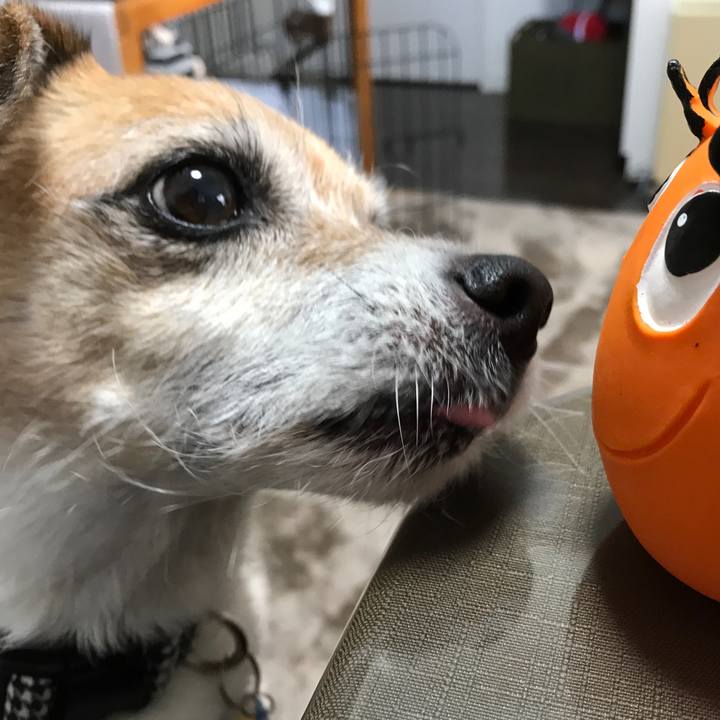 8a9475a5 f7a6 4493 86f8 cc7ac3afb52c 1608855902190