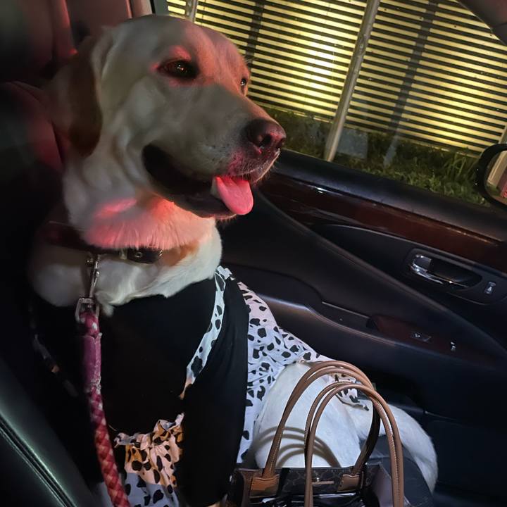 8a9482e8 180c 4fd9 a6a7 1e01987c8cf2 1663424073971