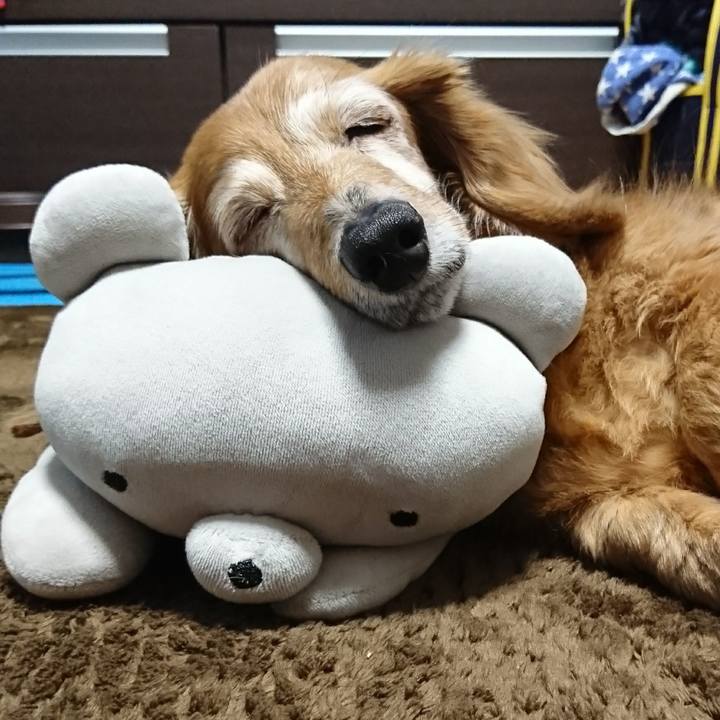 8a948c38 b4f7 4363 a7c2 f61b16739de9 1542997771601