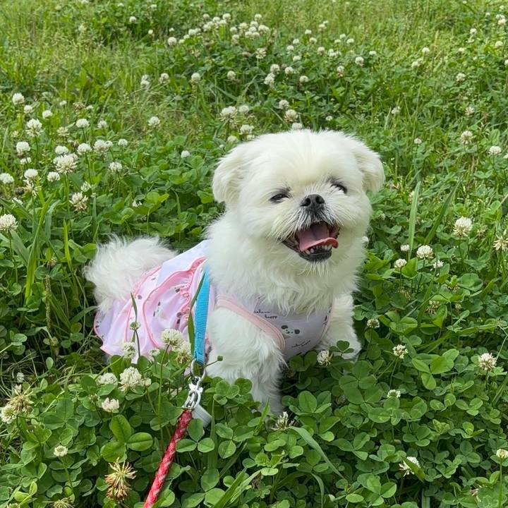 8a94b9e5 dfec 4cc3 9947 84238d78268d 1749902460630