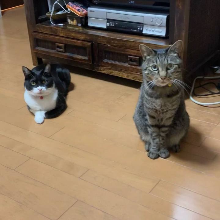 8a94e462 08d0 4c20 83a9 2d7d0056e287 1615861729332