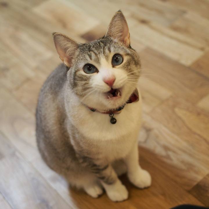 8a950a63 2fb4 48dc 851a 34a60005bf09 1588417718859