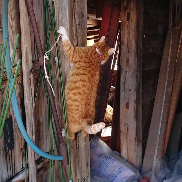 8a95582f bc8e 487c 82d7 285b625196e8 1577581887902