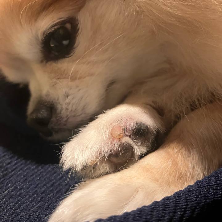 8a957fd2 9dc1 4f15 bb31 2e48a660d6d6 1759583971494