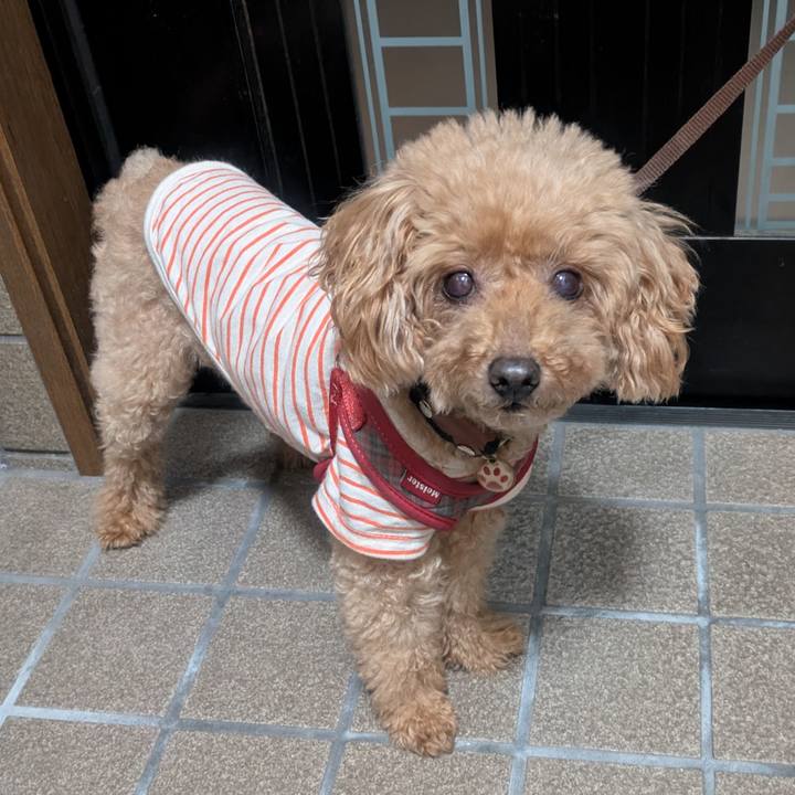 8a959929 dd3d 4393 acb6 7ee27c54bd8d 1761038914941