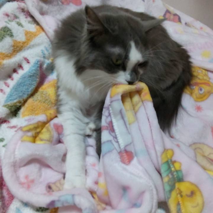 8a95a8fd 3d13 4f8e 94ca 8d9756a16885 1666340347884