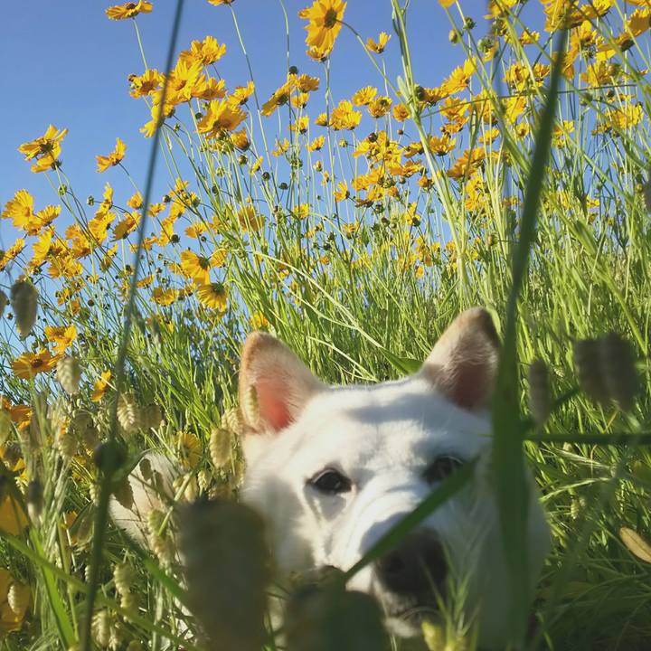 8a95e336 08ee 4649 a0e7 94ca8b667a43 1622366889357