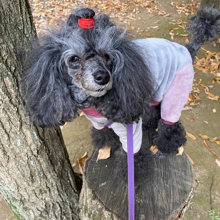 8a95e4c3 8b68 4ada 9ebc 7a4d0a776ce9 1763933503023