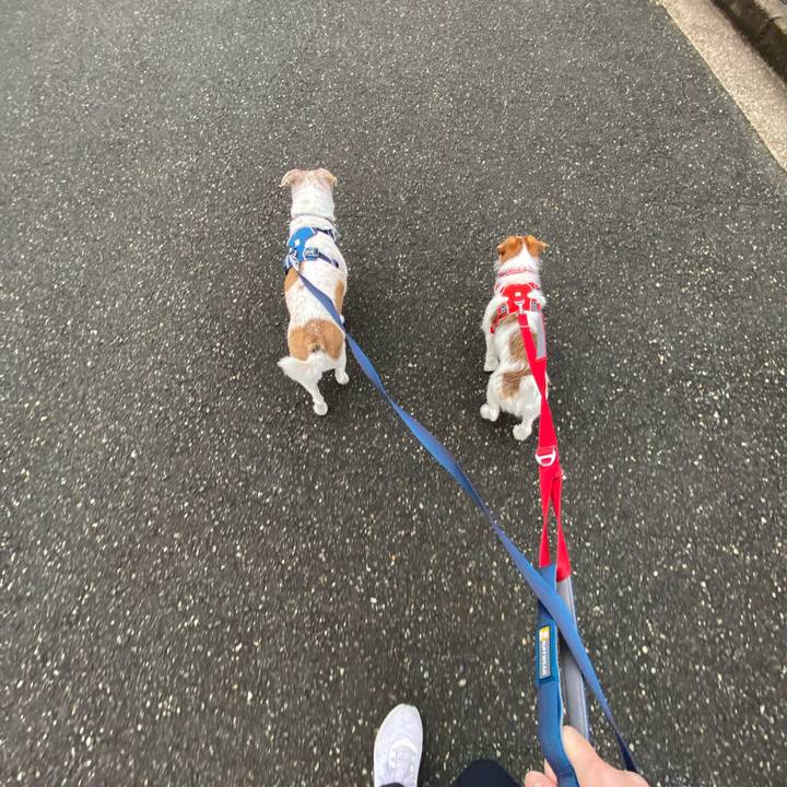 8a95f1c8 9aba 40a8 8ccc d5451577e741 1644836208749