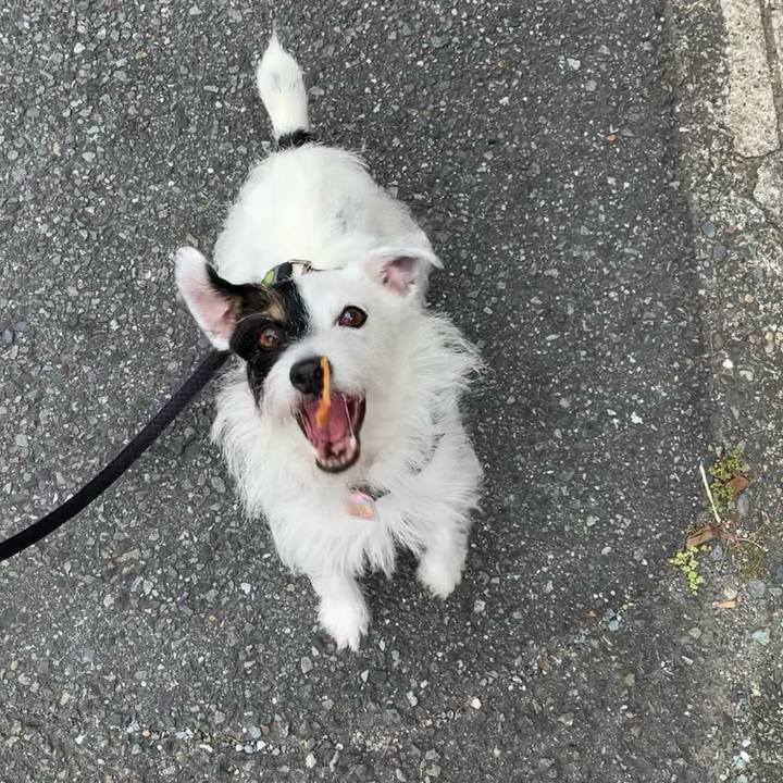 8a95f70f 2e61 4fde ae8d 955dc0e03ac3 1661642324561