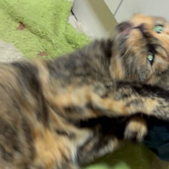 8a965283 6f98 4971 a223 d49aa7455f2b 1753219188068