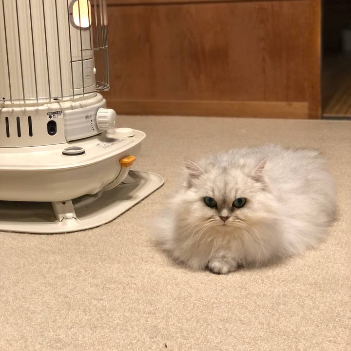 8a96610e b3c9 444d 96db 08e86a5ed098 1611998349200