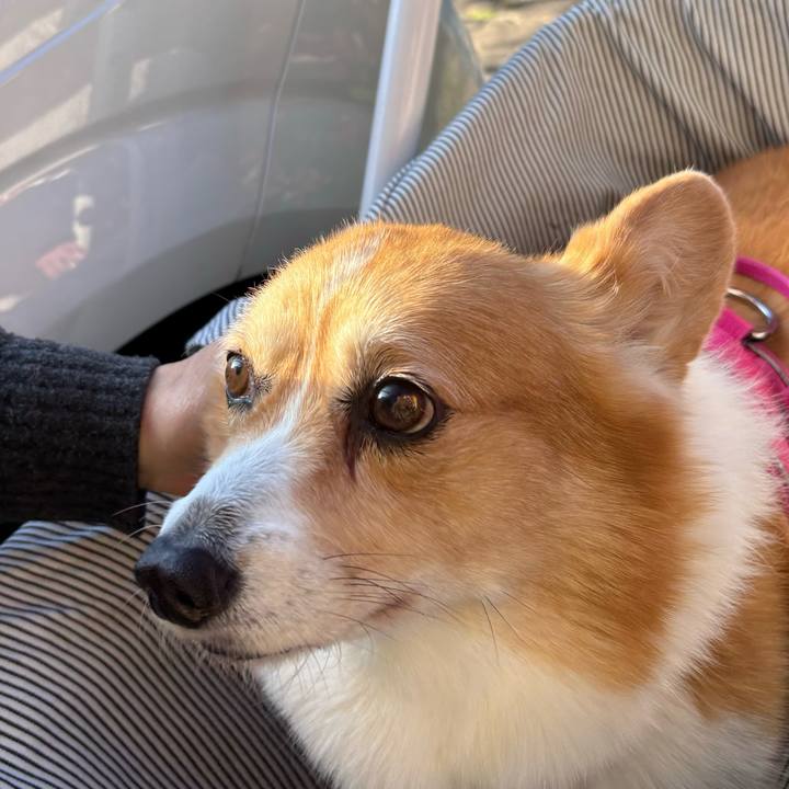 8a966435 899e 4f68 a905 770ab5bb5111 1735960684468