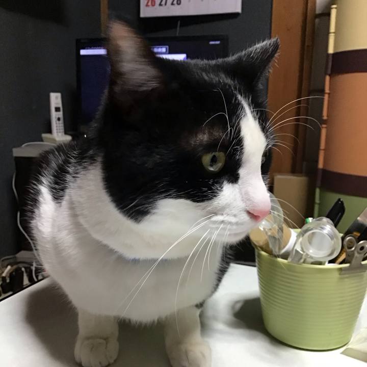 8a967582 efc1 485c afac 8b4b8c616c61 1676382709878