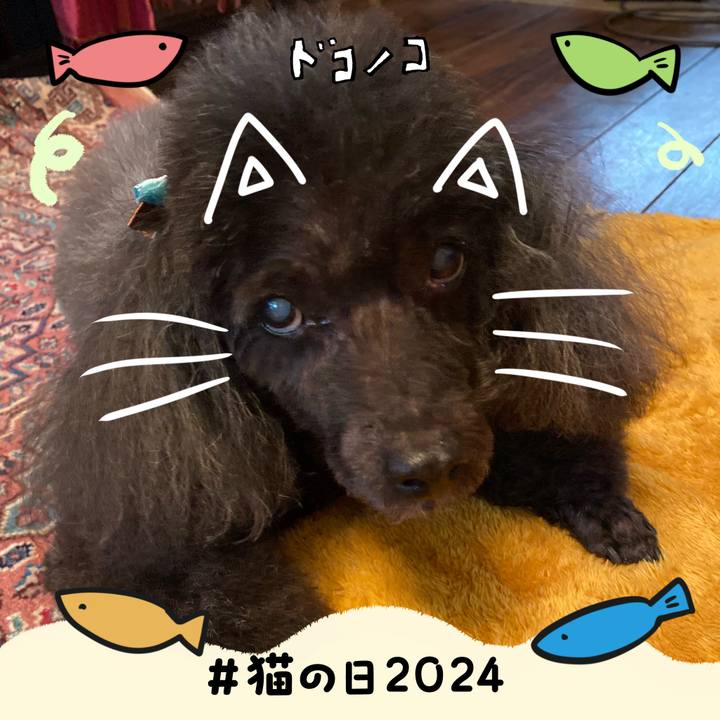 8a96a1f3 06b4 4faf a029 45fbfc2a1864 1708558103024