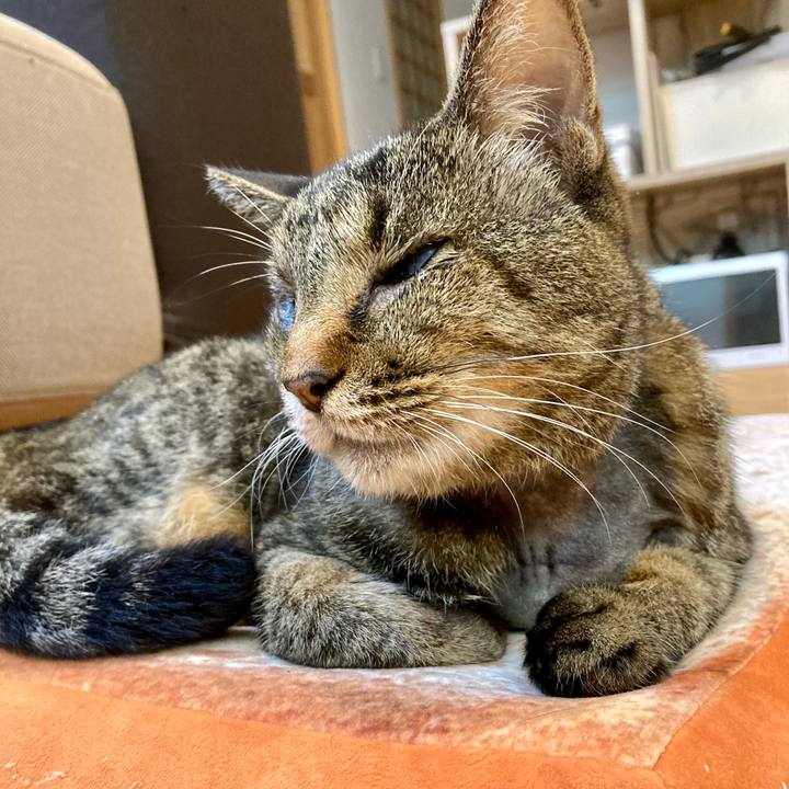 8a96c8e7 a471 410d 85f2 32d209043944 1633863850463