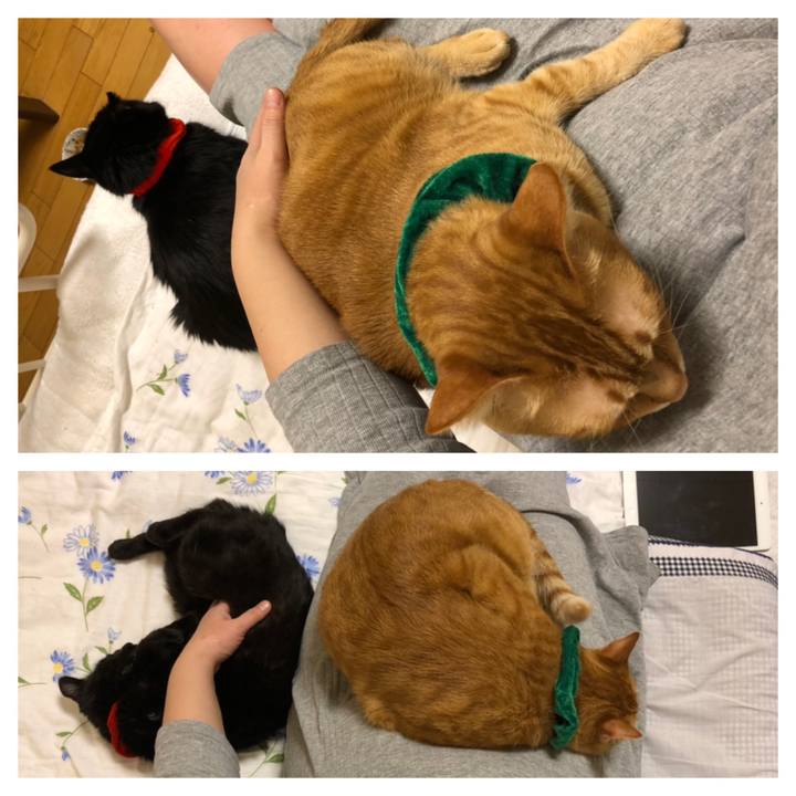 8a96d05b 1f85 4725 8cc5 29bafeb1697e 1577191833994