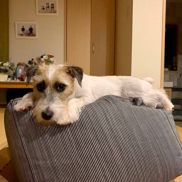 8a96f398 75a1 4ebb bab5 be5999723942 1631256542617