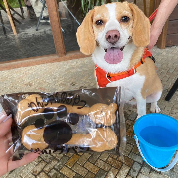 8a973e9b 57cf 4df8 8029 445e8889371b 1625904800783