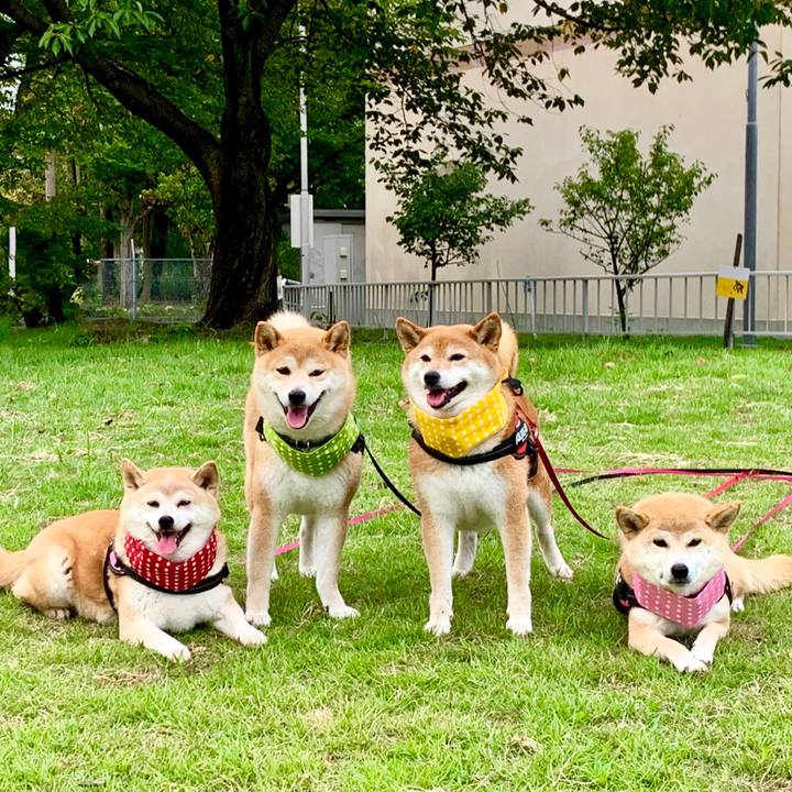 8a974967 e13a 42bf bb80 d6a1fce72d52 1566309639687