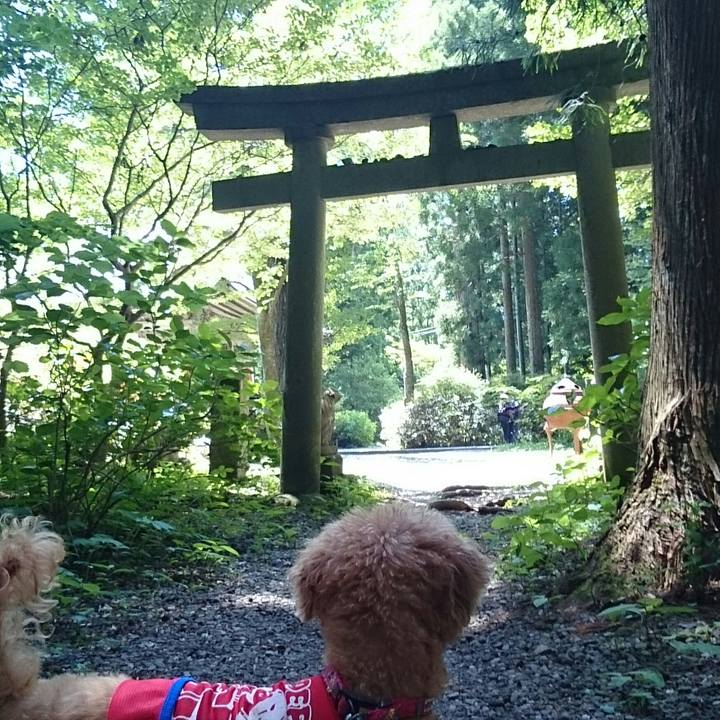 8a9790f2 d4f4 4288 816e f4b2c0bcc0ca 1527996084100