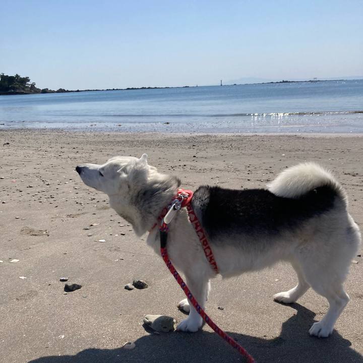 8a979bda 3dc2 432a aa54 628e562a183c 1712922630279