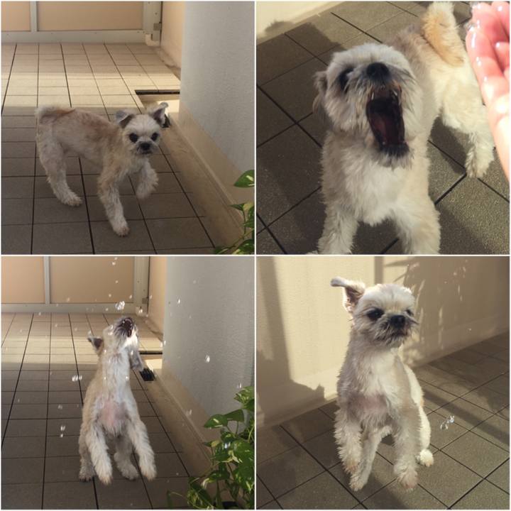 8a97ed71 283d 4ebf b55e f871af02fcfc 1543131586962