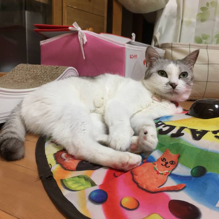 8a980631 3752 41b7 bb4a 57b692cf87b8 1526520724218