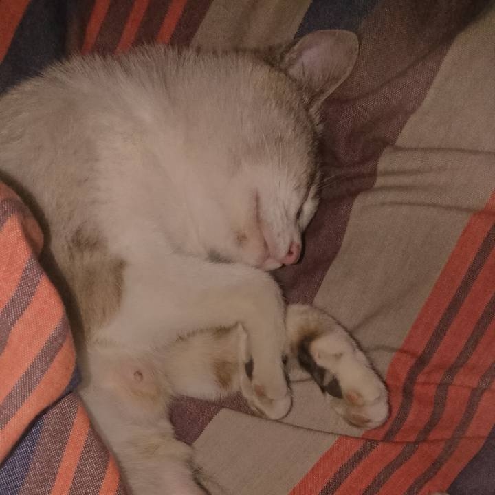 8a9846d8 5fe9 4664 8e9f 9d5c66dd2698 1526398747144