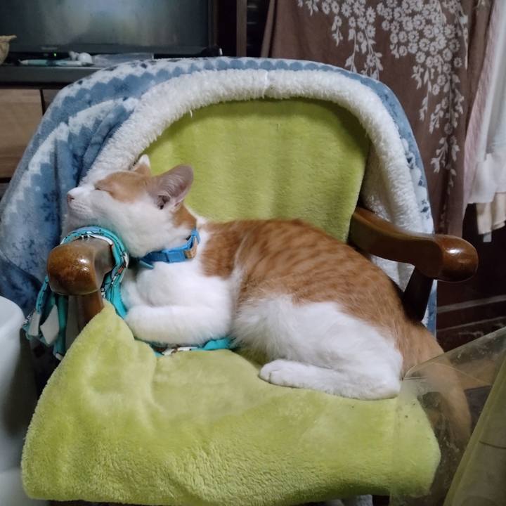 8a984fd4 4204 4171 b11b 91875f886836 1734695317879