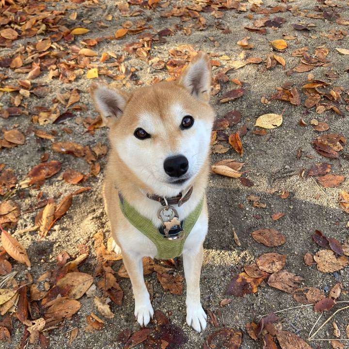 8a98525c 152a 48c6 8ce4 c6cfd8637222 1764421405300