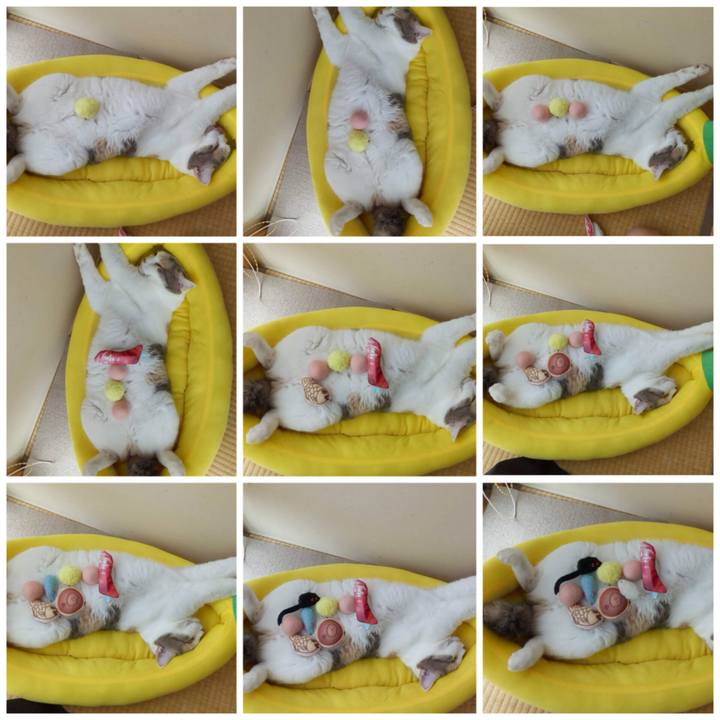 8a98e7a2 0e6d 40d2 830e d7071704df12 1690863255385