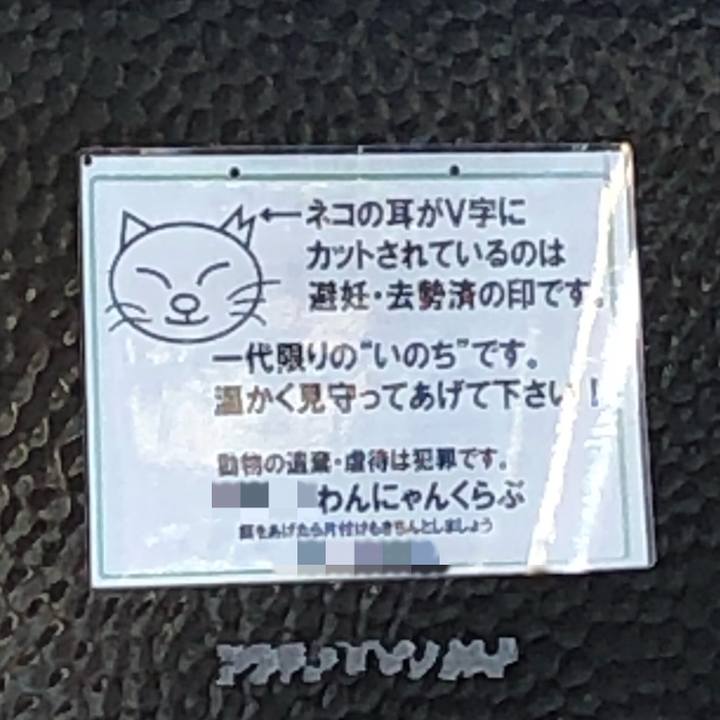 8a995853 0c47 413f 8d24 8d6a5e839566 1547195726647