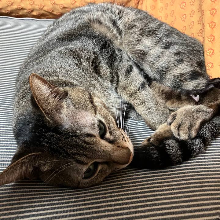 8a995ab0 d8e1 414f 822c a47afb988eef 1766324522476