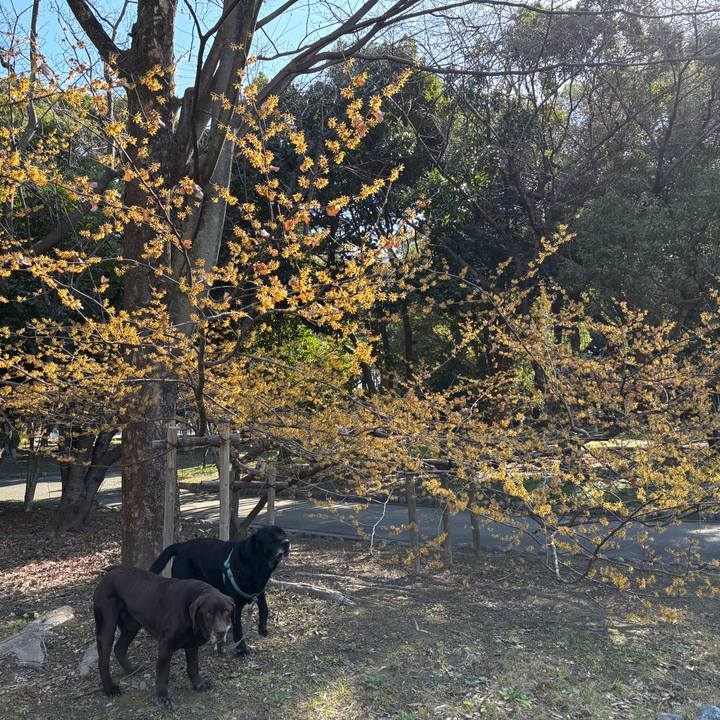 8a995fe5 9f32 4632 8859 6ddee76a40ae 1772365613000