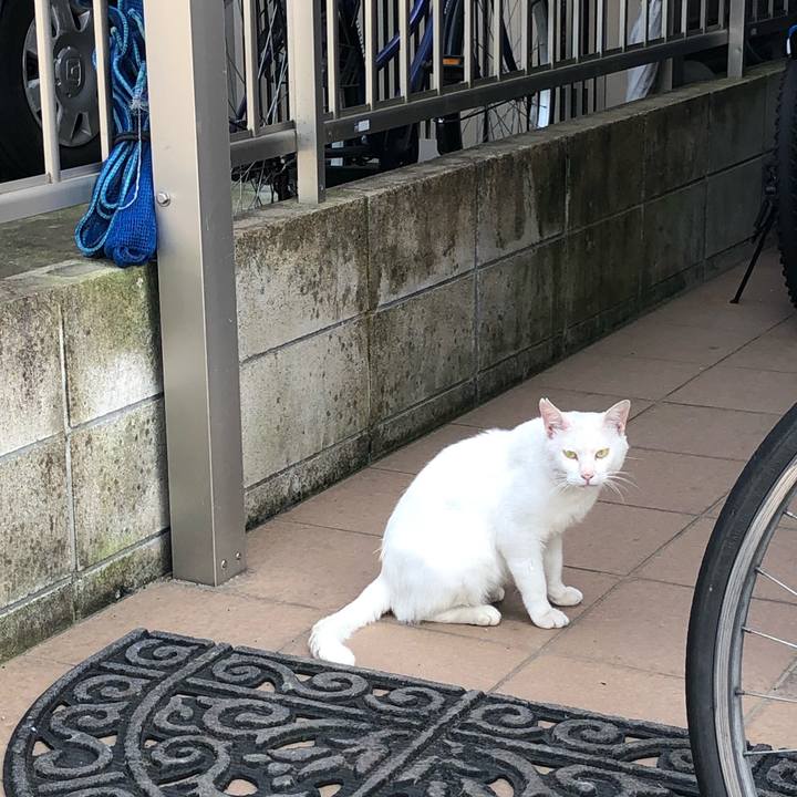 8a996661 20c8 46a9 9fa1 5fe2a534f983 1564851278477