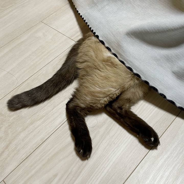 8a997bbd 9551 4619 8e35 8b4788537c00 1764157273904