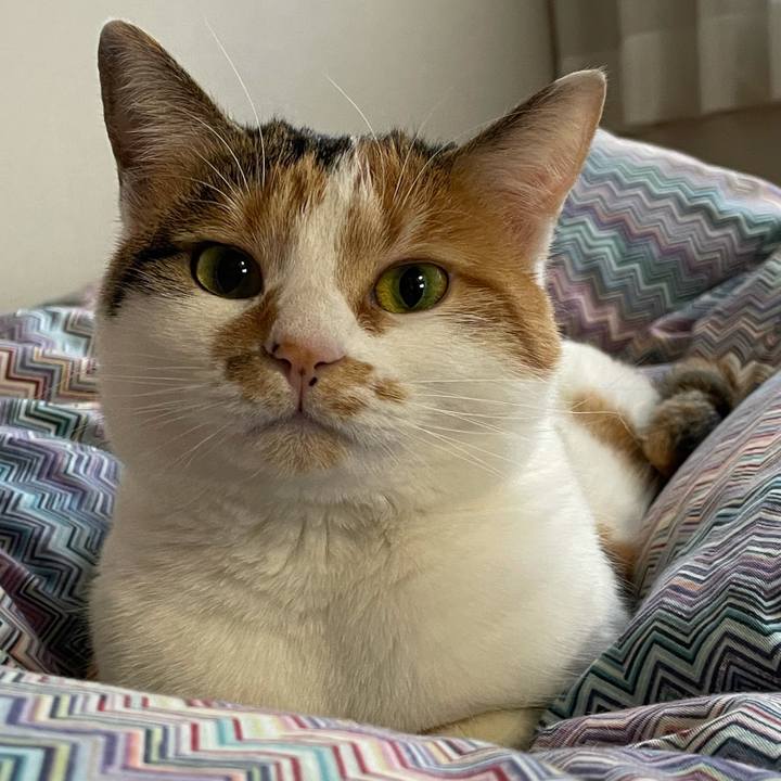 8a999a14 db5b 40df 891f a43627973151 1623236937770